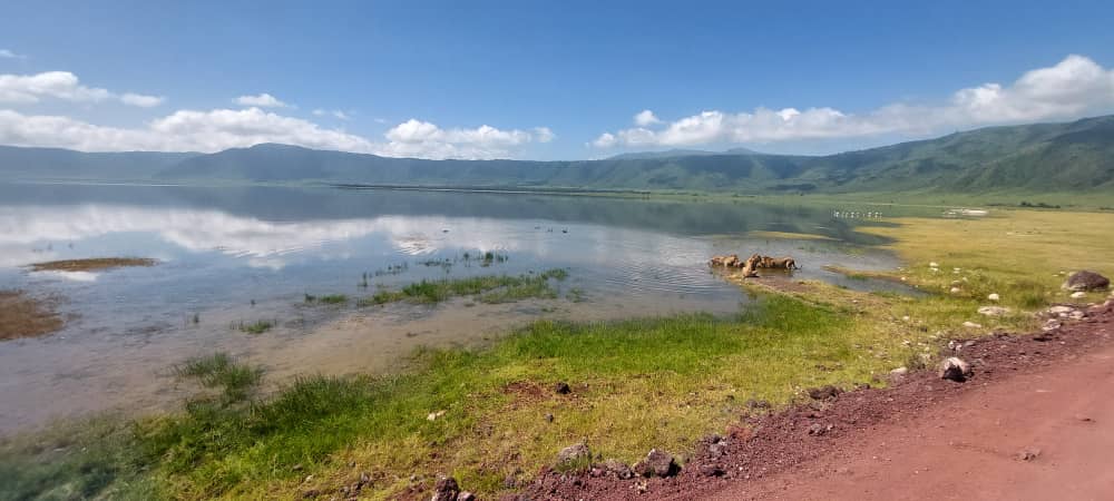 Weite Landschaft des Ngorongoro-Kraters
